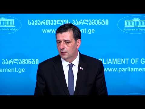 პრეზიდენტს რა აქვს სათქმელი, ეს იცის მხოლოდ პრეზიდენტმა - სალომე ზურაბიშვილის საპარლამენტო მდივანი